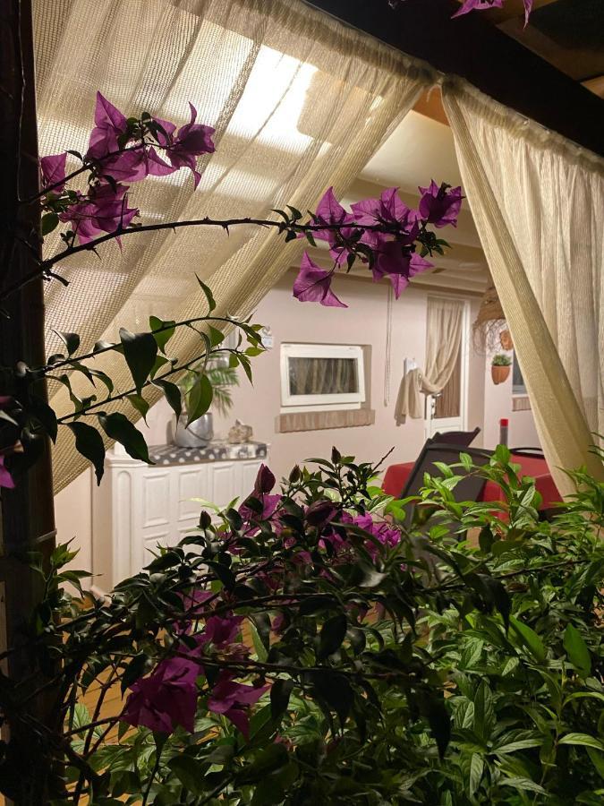 Ancora Bilocale Villa Марина ди Маса Екстериор снимка