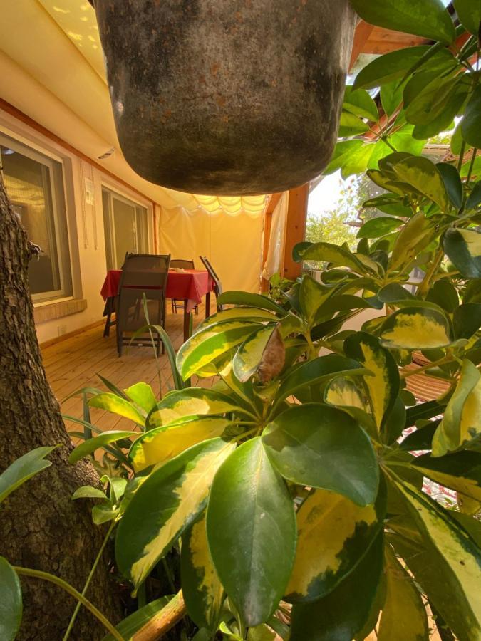Ancora Bilocale Villa Марина ди Маса Екстериор снимка